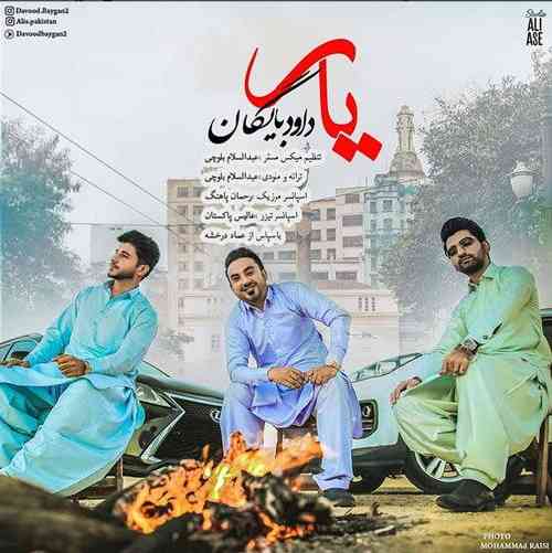 داود بایگانی یار